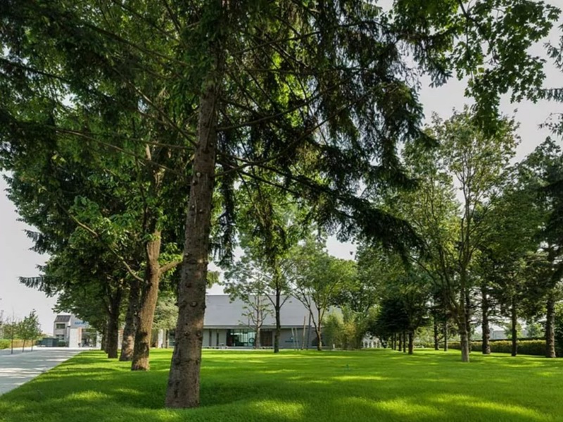 1730271387.jpg image006.jpg